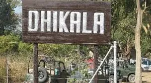 रामनगर: खुलने से पहले ही 25 दिसंबर तक पैक हो गया ढिकाला 