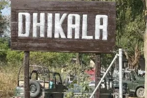 रामनगर: 15 नवंबर को खुलेगा कार्बेट का 'हृदय' ढिकाला जोन