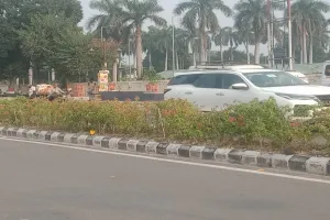 Ayodhya News : तरह-तरह के रंगीन फूलों ने बढ़ाया रामपथ का आकर्षण   