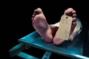 Bihar News: 'चूहे ने कुतर दी...' अस्पताल में मौत के बाद मरीज की आंख गायब, दो नर्स निलंबित 