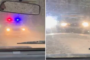 पीलीभीत: पीटीआर में घुसा था मंत्री का काफिला, अब एनटीसीए ने मांगी रिपोर्ट