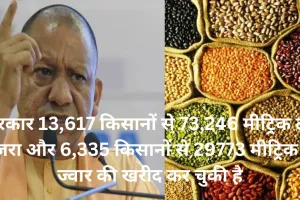 श्रीअन्न से किसान हो रहे मालामाल, 29,773 मीट्रिक टन ज्वार, 73,246 मीट्रिक टन बाजरा की हो चुकी खरीद 
