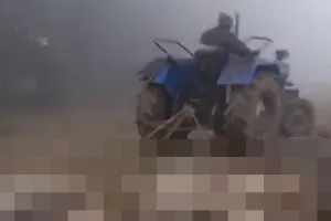 पीलीभीत: ट्रैक्टर से बांधकर खींचे गए गोवंश के शव, प्रधान पुत्र समेत दो पर एफआईआर 