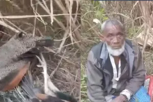 बहराइच: ग्रामीण ने मोर का किया शिकार, वीडियो वायरल...डीएफओ ने कही ये बात