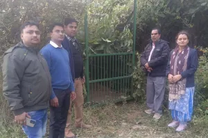 लखनऊ में खुलेआम धूम रहा था बाघ, किया नीलगाय का शिकार