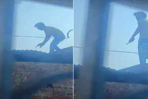 लखीमपुर खीरी: लेनदेन के विवाद में ईंट पत्थर चले, युवक के तमंचा लहराने का वीडियो वायरल