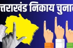 निकाय चुनाव: 20 सीटों पर महिला प्रत्याशी दिखाएंगी दमखम  