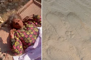 Fear of wildlife : घर के बरामदे में सो रही वृद्धा पर हिंसक जानवर का हमला