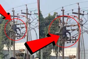 बरेली: करंट लगा तो खंभे से उल्टा लटका लाइनमैन...बिजली विभाग ने खतरे में डाल दी जान !