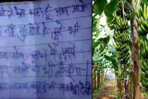 लखीमपुर खीरी: अभी तो केला काटा है, कल तुम्हे भी काट दूंगा...खेत से मिला धमकी भरा खत