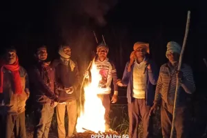 Bareilly: किसानों की दर्द भरी रात...खेतों पर जमाया डेरा, कड़ाके की ठंड और छुट्टा पशुओं से लड़ रहे जंग