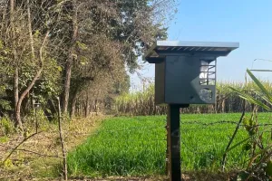 पीलीभीत: वन्यजीव की आसपास हुई मौजूदगी तो बज उठेगा सायरन, लगाई गई एनाइडर डिवाइस