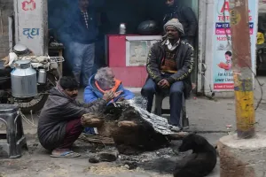 बाराबंकी: दिनभर गलन भरी ठंड से ठिठुरते रहे लोग, इंसानों के साथ जानवर भी परेशान, बरतें यह सावधानी