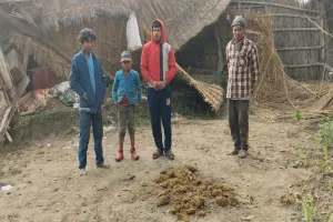 बहराइच: हाथियों ने गिराया ग्रामीणों का मकान, लोगों ने भागकर बचाई जान