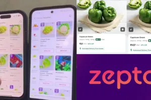 Zepto यूजर्स को बना रहा बेवकूफ, क्या बोली हॉर्स पावर की सीईओ