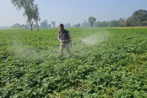उर्वरक की कमी नहीं होने दी जाएगी... कृषि मंत्री ने किसानों से किया वायदा