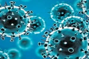  HMPV Virus: महिला की रिपोर्ट आई Negative, 48 घंटे में संक्रमण से मिली निजात, डॉक्टर बोले वायरस से डरने की जरूरत नहीं