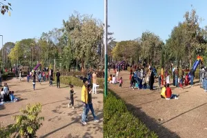 मुरादाबाद : सुबह कोहरे व शीतलहर से ठिठुरे लोग, दिन में धूप का लिया आनंद