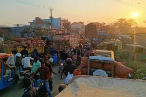 कासगंज: मंडी में मटर की आवक पहुंची चरम पर, यातायात सुचारू बना चुनौती!