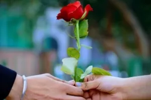 Rose Day: कासगंज में गुलाब देकर प्यार के परिंदों ने किया खुशी का इजहार, शुरू हुआ Valentine's Week