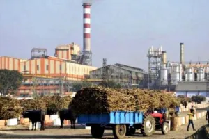 बरेली की ये चीनी मिलें हो जाएंगी इस तारीख से बंद, जानिए वजह