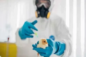 न्यूयॉर्क सिटी के चिड़ियाघरों में 15 पक्षियों की मौत, बर्ड फ्लू से मरने का संदेह 