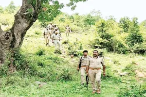 वन दरोगा सरकार का खजाना भरें कि जंगलों की सुरक्षा करें