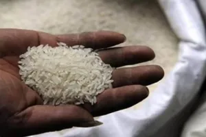 Bareilly: ये राइस मिलें दबाए बैठीं है करोड़ों रुपये, RC जारी कर डीएम को लिखा पत्र