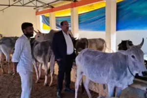 Bareilly: गोशाला में रिकॉर्ड उपलब्ध न मिलने पर भड़के एसडीएम, नोटिस जारी