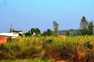 पीलीभीत: पीटीआर के इको सेंसिटिव जोन में न होने दें पक्का निर्माण, डीडी ने जारी किया फरमान