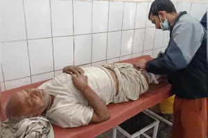 पीलीभीत: जंगली जानवर ने बुजुर्ग को किया घायल, गन्ने के खेत में बाघ का शोर मचा