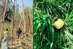 रामपुर: शाहबाद इलाके की इस जमीन के नीचे छिपा है पेट्रोलियम ? कंपनी ने डाला डेरा...