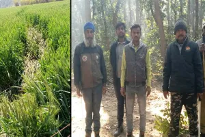 पीलीभीत: नेपाली हाथियों का उत्पात जारी, फिर दियोरिया जंगल में पहुंचे...वनकर्मियों ने खदेड़ा