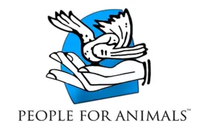 बदायूं: गोवध निवारण अधिनियम की जगह पशु क्रूरता में की कार्रवाई, अब हुई शिकायत