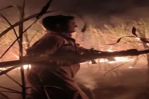 अयोध्या: रुदौली के कुढ़ा सादात गांव में जला 10 बीघा गन्ना, फायर सर्विस ने पाया काबू