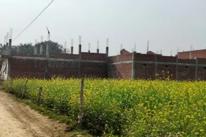 बाराबंकी में बेखौफ चल रहा अवैध प्लाटिंग की काली कमाई का खेल, भूमाफिया कर रहे करोड़ों की हेराफेरी