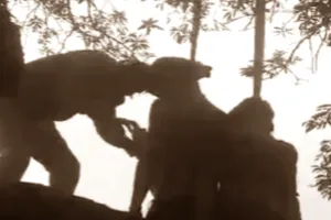 पेड़ से लटकता मिला प्रेमी-प्रेमिका का शव, अनोखी थी दोनों की लव स्टोरी, 12 दिन पहले हुई थी युवती की शादी, जानें पूरा मामला