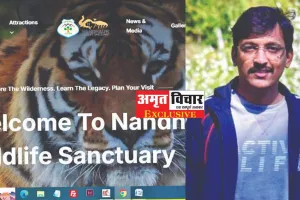 पर्यटक वन विश्राम गृह और सफारी की कर सकेंगे ऑनलाइन बुकिंग, ये है कॉर्बेट की वेबसाइट