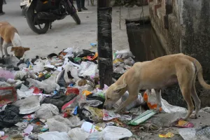 जगह-जगह लगे कूड़े के ढ़ेर, विवाद के बीच पांच जोन में सफाई का बुरा हाल
