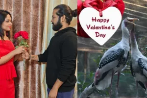 Valentine Day पर किसी ने खुलकर तो किसी ने छिपकर किया मोहब्बत का इजहार
