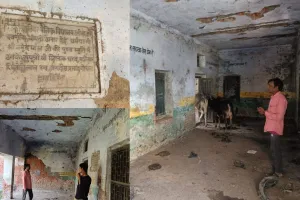 बहराइच: पहले होती थी यहां पढ़ाई, अब बन गया चारागह, टहल रहे मवेशी, पढ़ने के लिए 2 किमी जाने को मजबूर मसूम बच्चे   