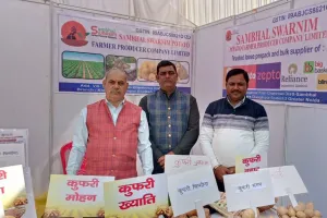 राजभवन की प्रदर्शनी में सजा संभल का आलू, जमकर हुई तारीफ