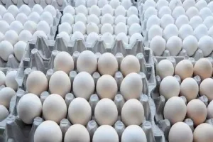 अमेरिका में इस साल अंडे की कीमतें 41 प्रतिशत तक बढ़ने का अनुमान, जानिए वजह?