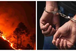 जंगल में आग लगाई तो होगी जेल, सूचना देने वाले को 20 हजार का इनाम