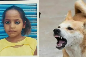 Bahraich News : आवारा कुत्तों के झुंड ने आठ साल की बच्ची को नोंचकर मार डाल