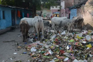 सफाई नायक अब दो पालियों में करेंगे ड्यूटी: कानपुर में बढ़ती गंदगी को देखते हुए लिया गया फैसला, ये है शिफ्ट का समय...