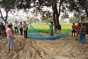 बहराइच : जाल लगाकर आवारा कुत्तों को पकड़ने में जुटी टीमें