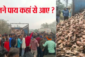 Bareilly: पिकअप टकराई तो खुली पोल...सड़क पर बिखरे पशुओं के हजारों कटे पैर! हिंदू संगठनों में आक्रोश
