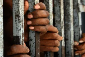 सगे भाईयों को उम्रकैद :  30 किलो गेंहू की चोरी के दौरान व्यापारी के सीने में दागी थी गोलियां