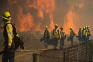 दक्षिण अफ्रीका के टेबल माउंटेन में लगी आग, बुझाने में जुटे 100 से अधिक दमकलकर्मी